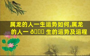 属龙的人一生运势如何,属龙的人一 🐝 生的运势及运程
